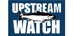 Upstream Watch logo