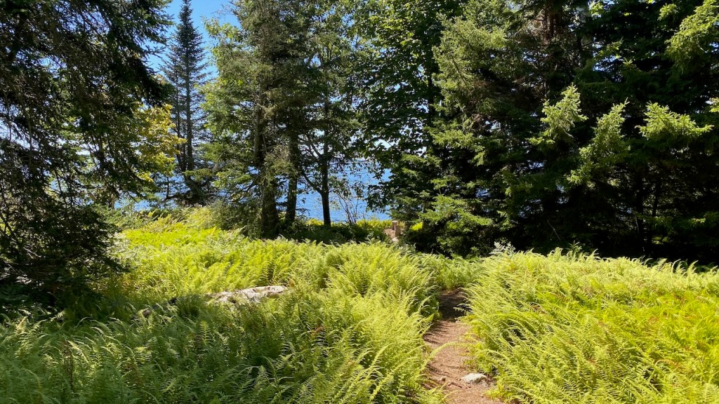 Counsel for Islesboro Islands Trust Calls for Careful Offshore Wind Port Site&nbsp;Selection