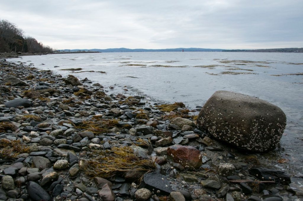 Letter: Keep Sears Island&nbsp;green