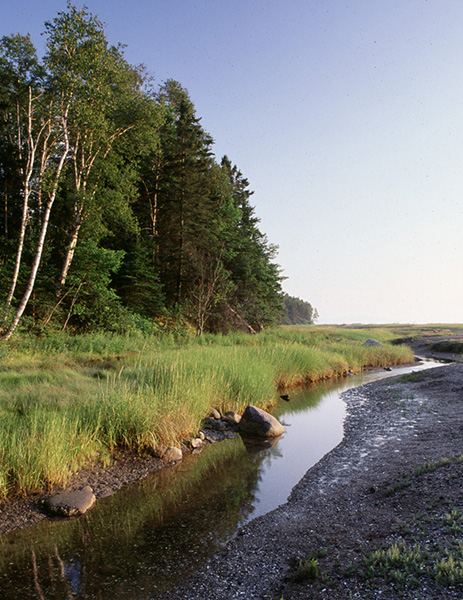 Is 2026 the Year of&nbsp;Wahsumkik?