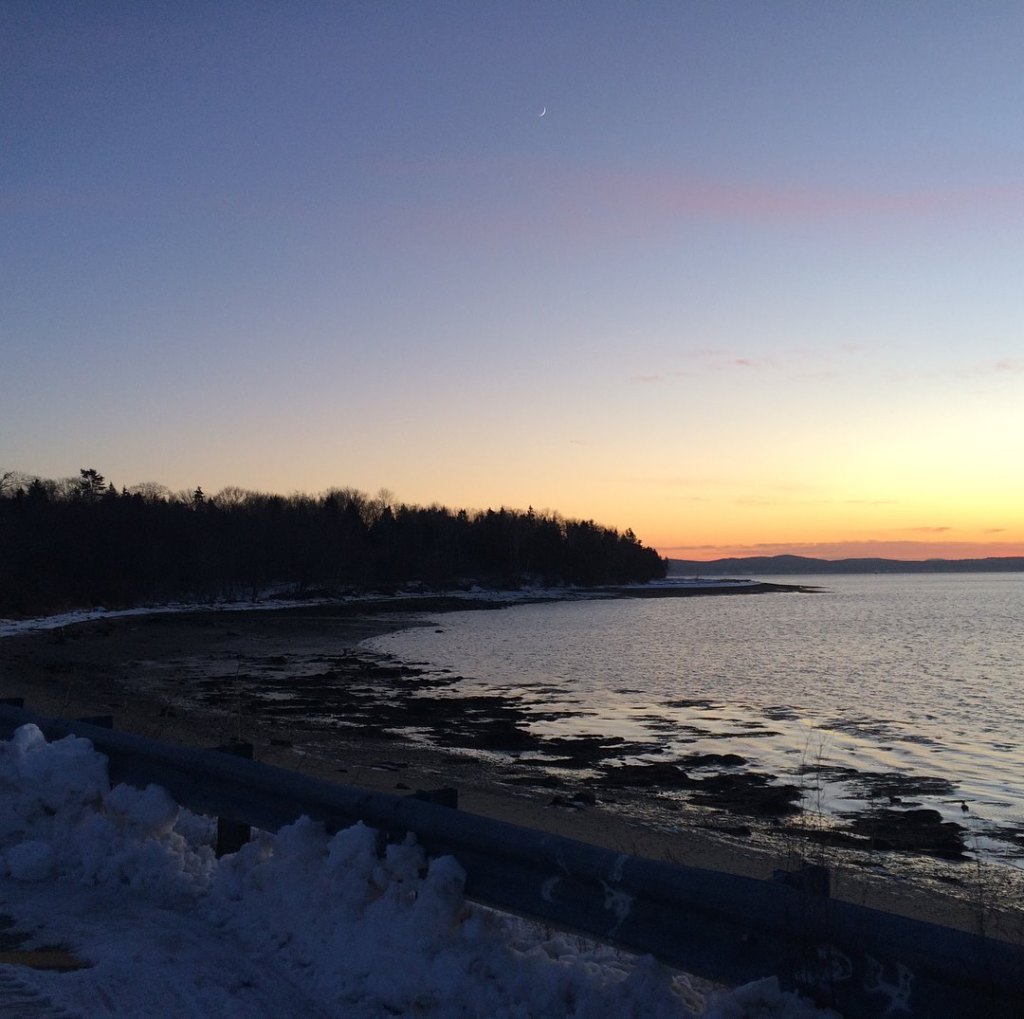 Alliance for Sears Island: 2023&nbsp;Review