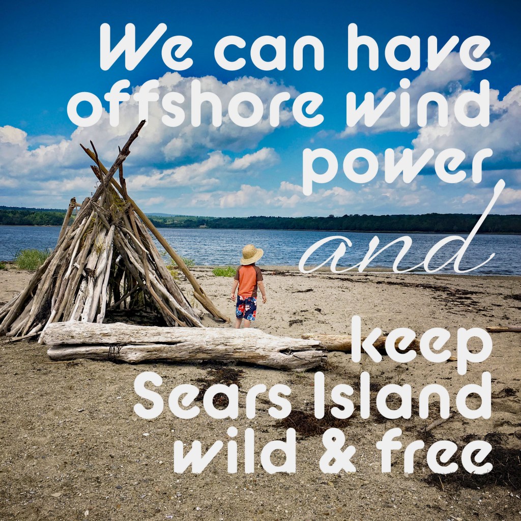 Action Alert – Demonstration for Sears&nbsp;Island