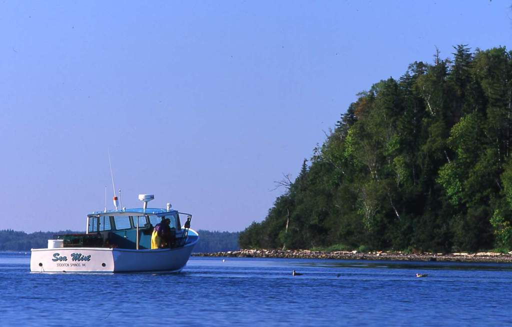 Getting Climate Change Decisions&nbsp;Right