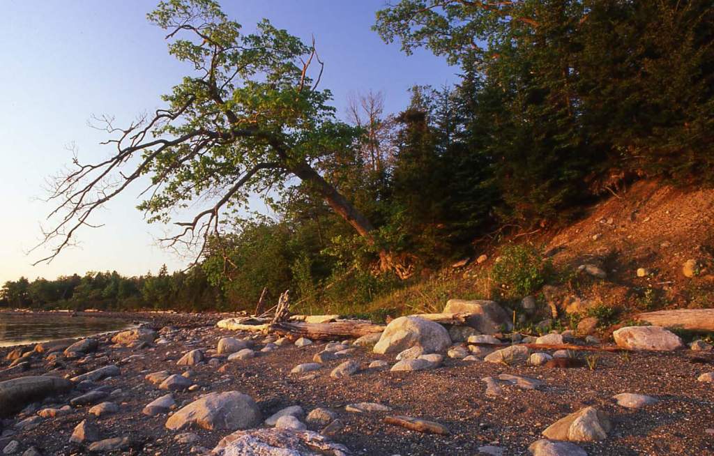 Islesboro Islands Trust Comment on Governor’s Announcement to Build Offshore Wind Manufacturing Facility on Sears&nbsp;Island