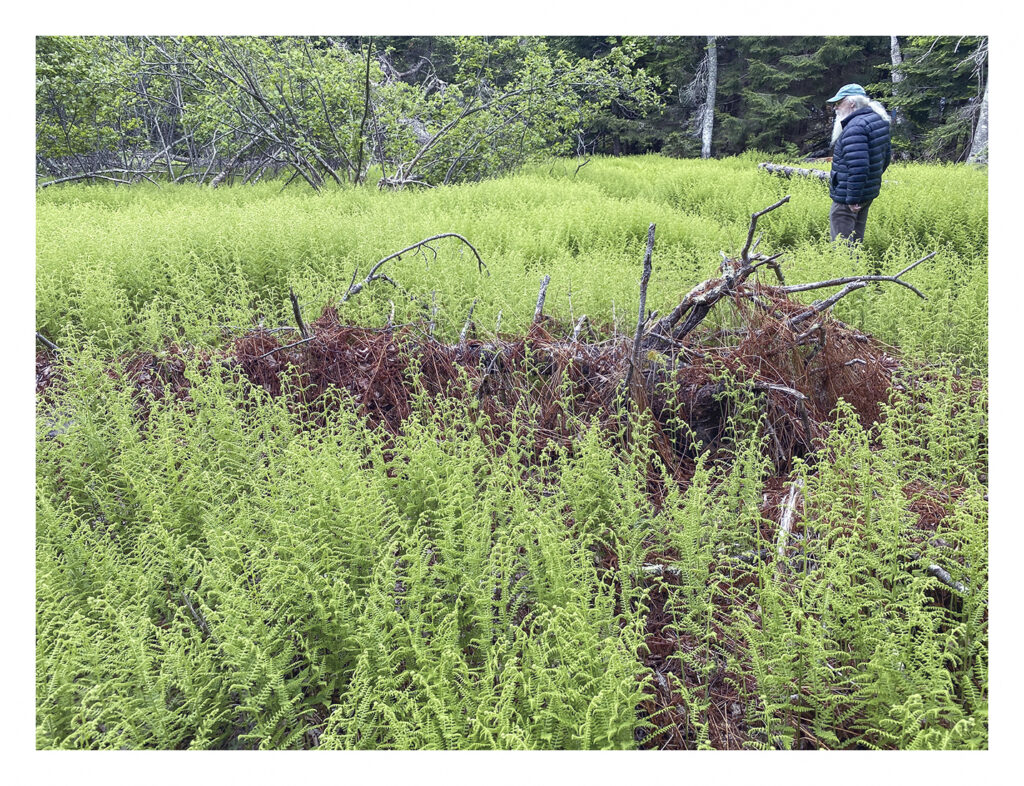 Poems by Gary&nbsp;Lawless